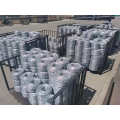 Hot dipped Galvanized barbed wire series